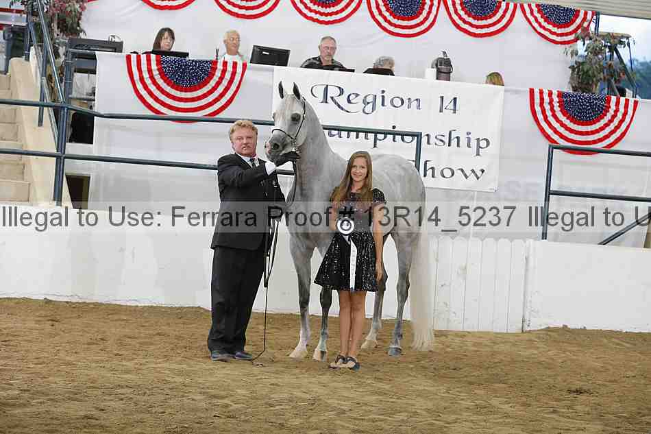 Proof Number 13r14_5237