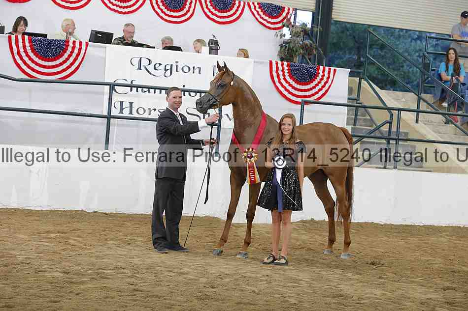 Proof Number 13r14_5240