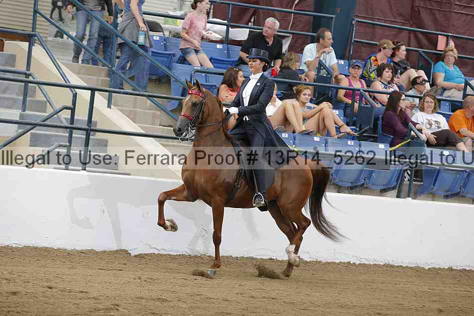 Proof Number 13r14_5262