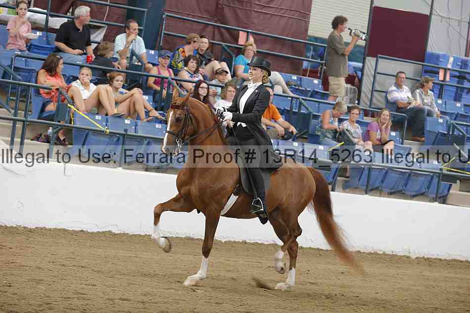 Proof Number 13r14_5263