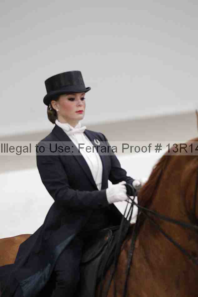 Proof Number 13r14_5277