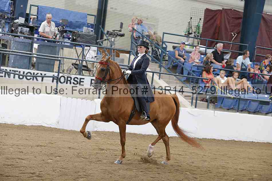 Proof Number 13r14_5279