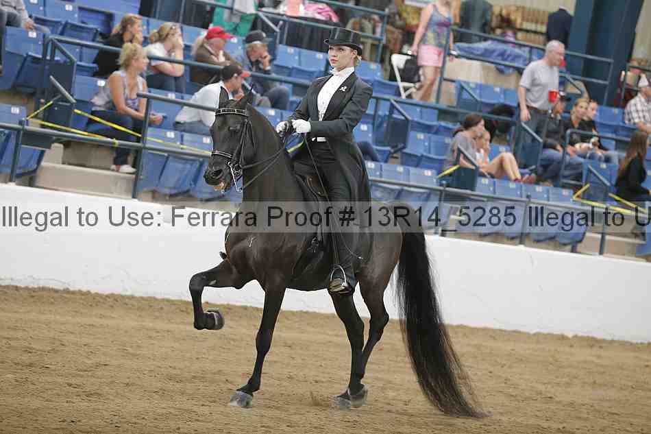 Proof Number 13r14_5285