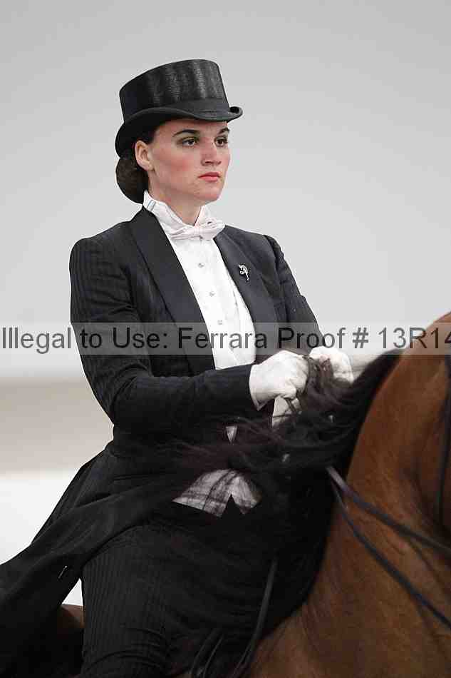 Proof Number 13r14_5287