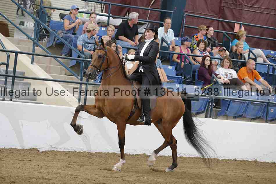 Proof Number 13r14_5288