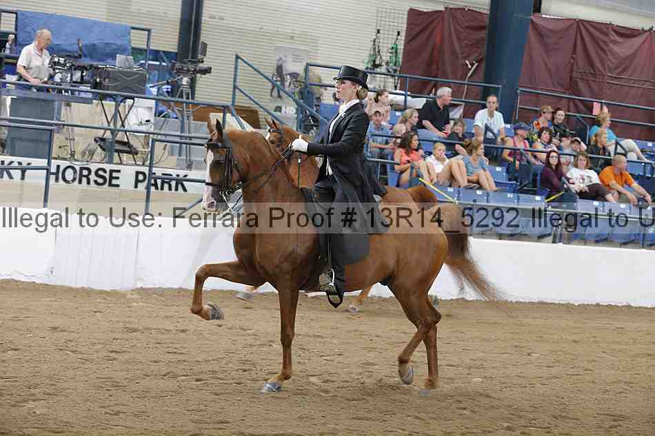 Proof Number 13r14_5292
