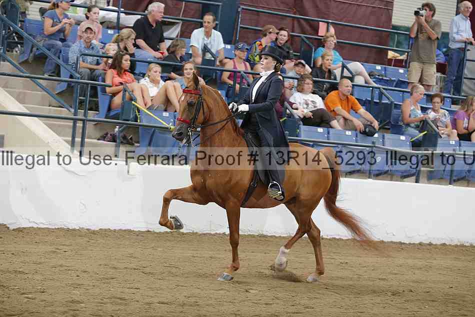 Proof Number 13r14_5293