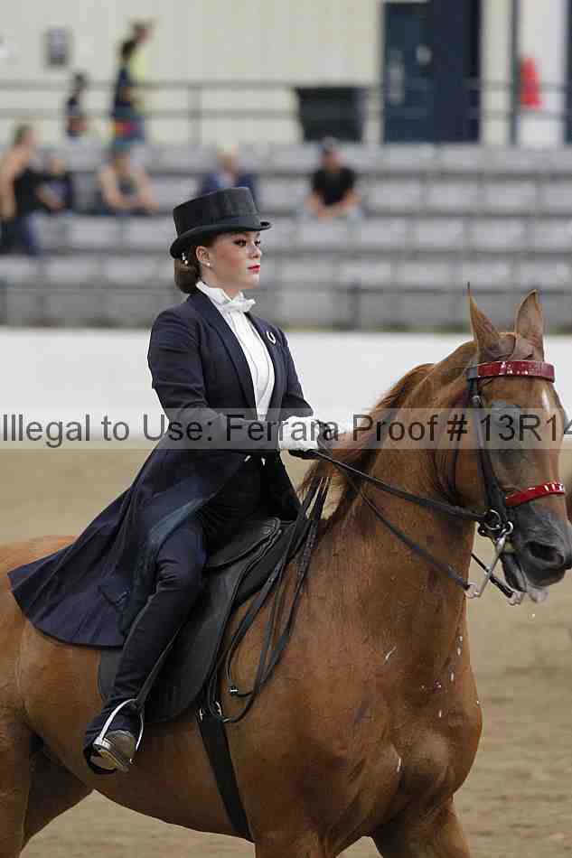 Proof Number 13r14_5294