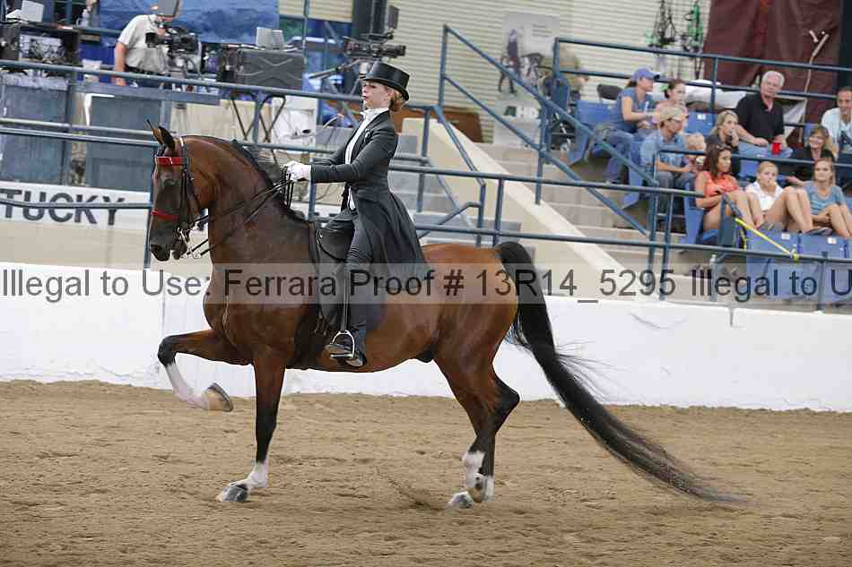 Proof Number 13r14_5295