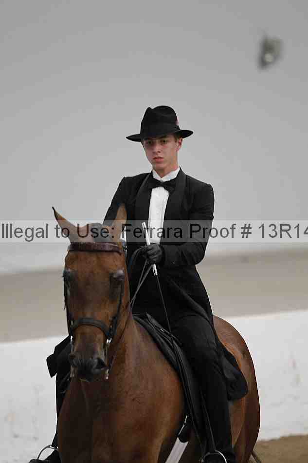 Proof Number 13r14_5296