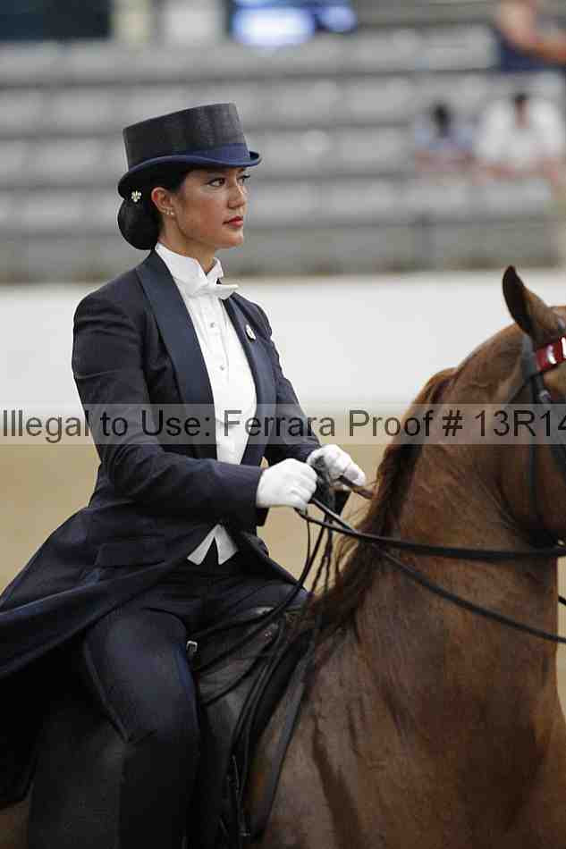 Proof Number 13r14_5300