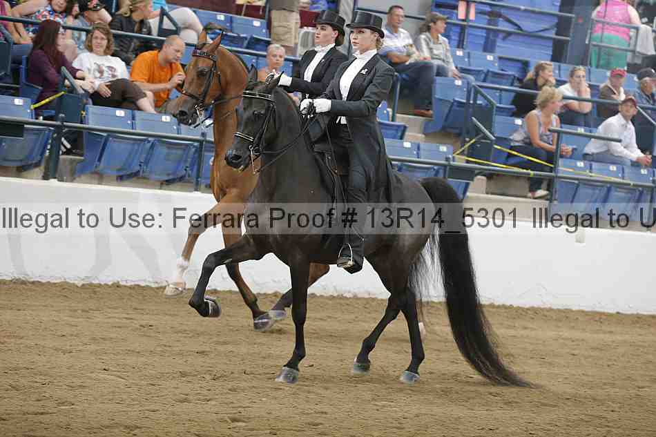 Proof Number 13r14_5301