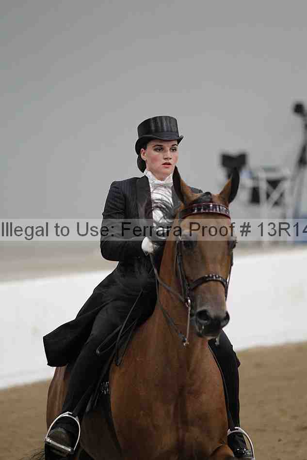 Proof Number 13r14_5302