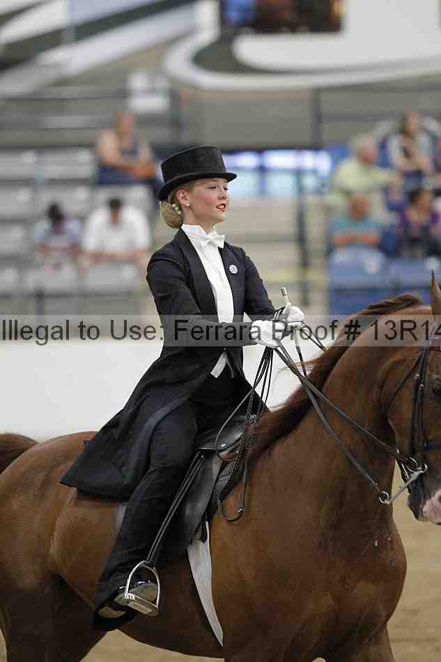 Proof Number 13r14_5304
