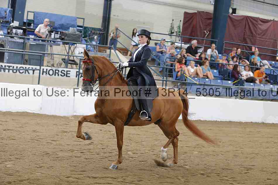 Proof Number 13r14_5305