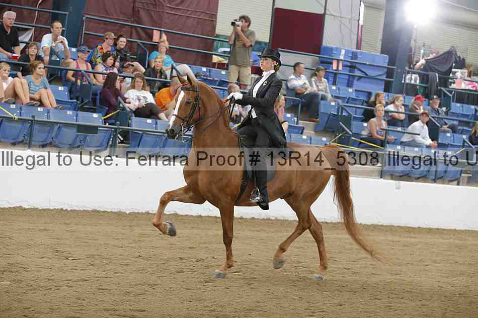 Proof Number 13r14_5308