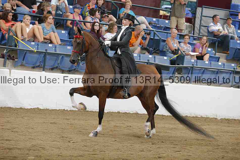 Proof Number 13r14_5309