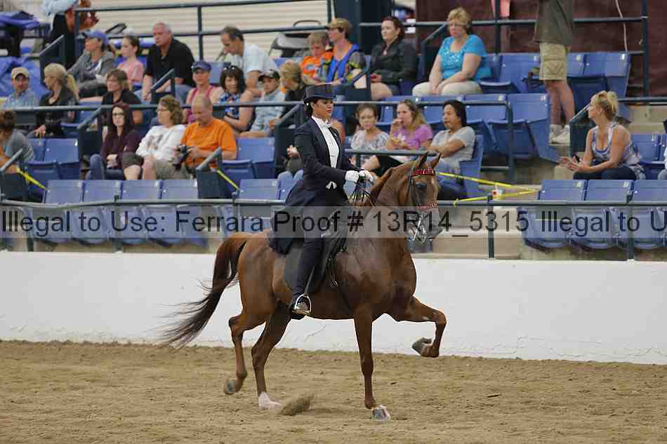 Proof Number 13r14_5315