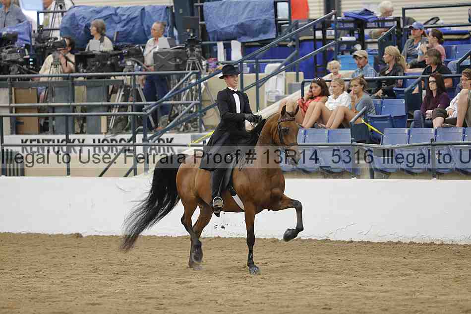 Proof Number 13r14_5316
