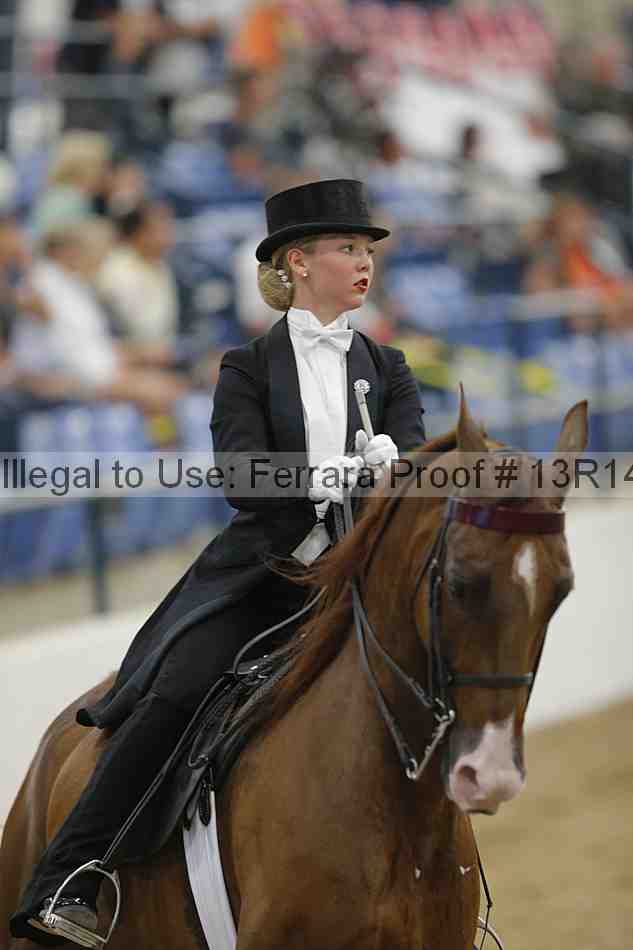 Proof Number 13r14_5317
