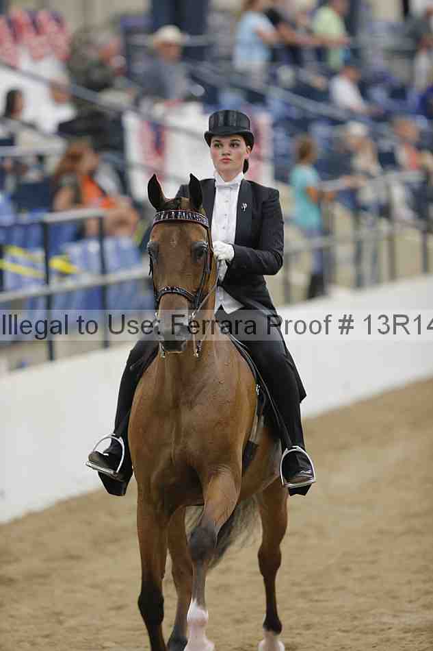 Proof Number 13r14_5318