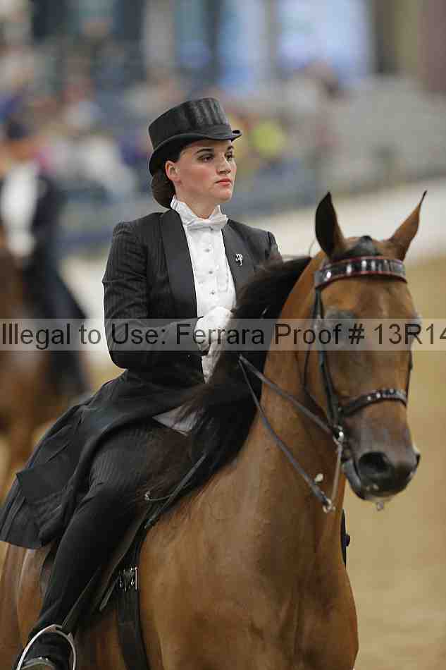 Proof Number 13r14_5320