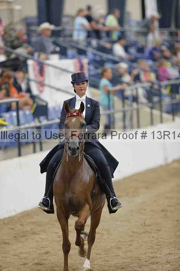 Proof Number 13r14_5321