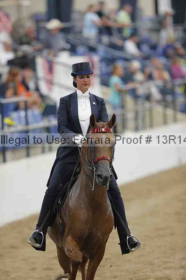 Proof Number 13r14_5322