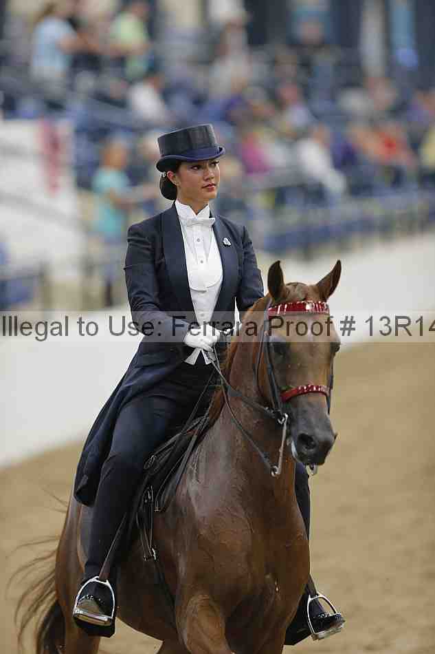 Proof Number 13r14_5323