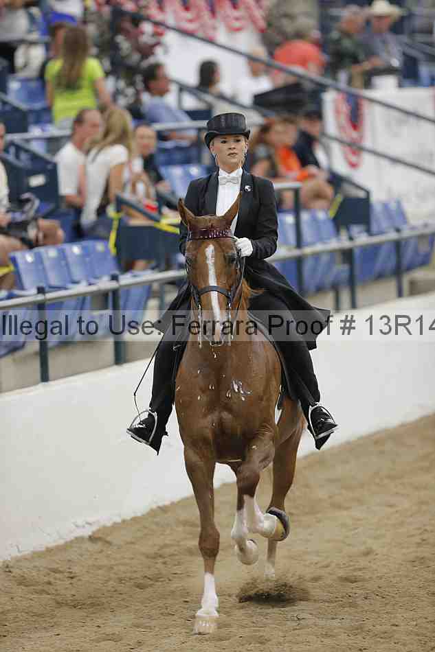 Proof Number 13r14_5325