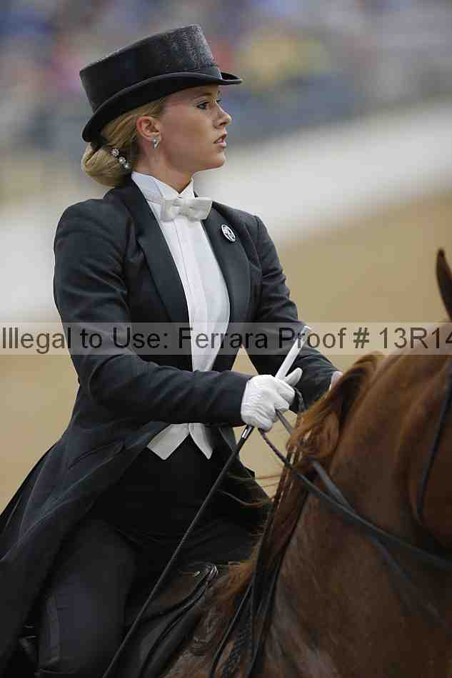 Proof Number 13r14_5327