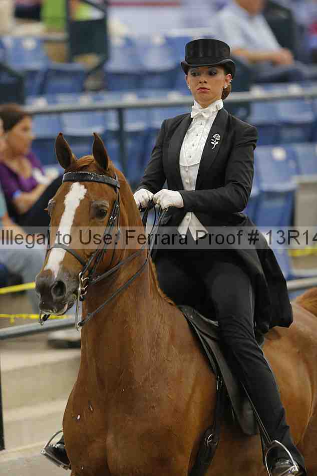 Proof Number 13r14_5329