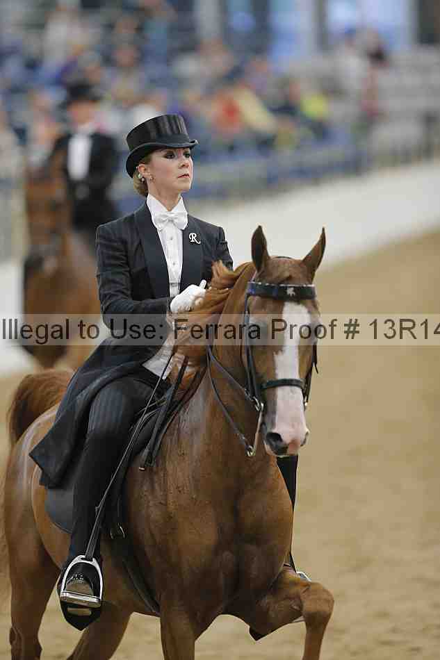 Proof Number 13r14_5331