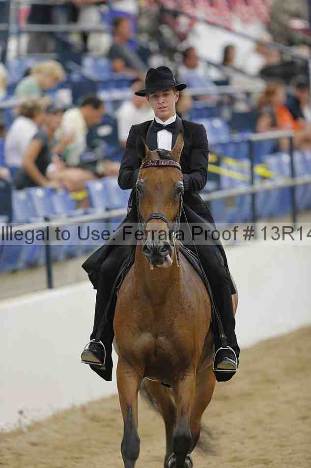 Proof Number 13r14_5333