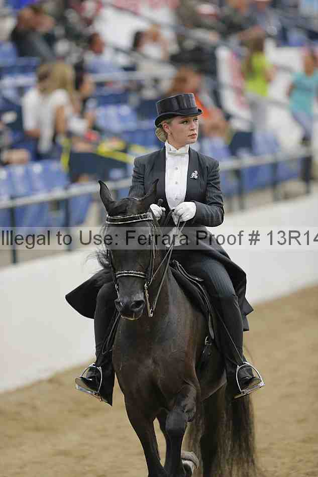 Proof Number 13r14_5335