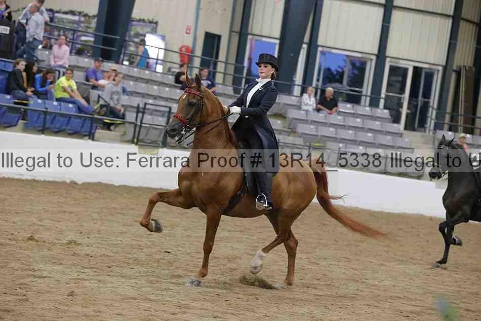 Proof Number 13r14_5338
