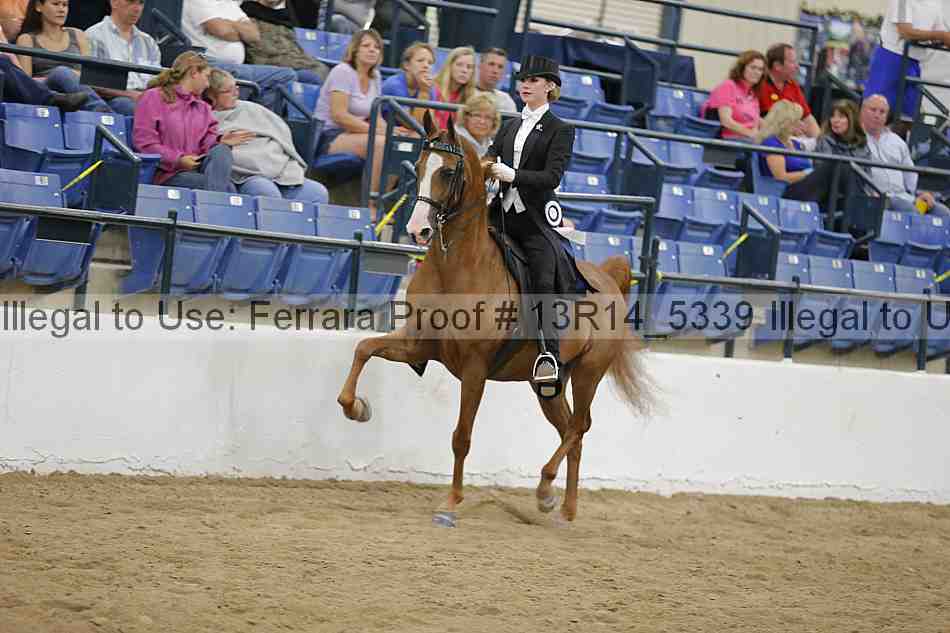 Proof Number 13r14_5339