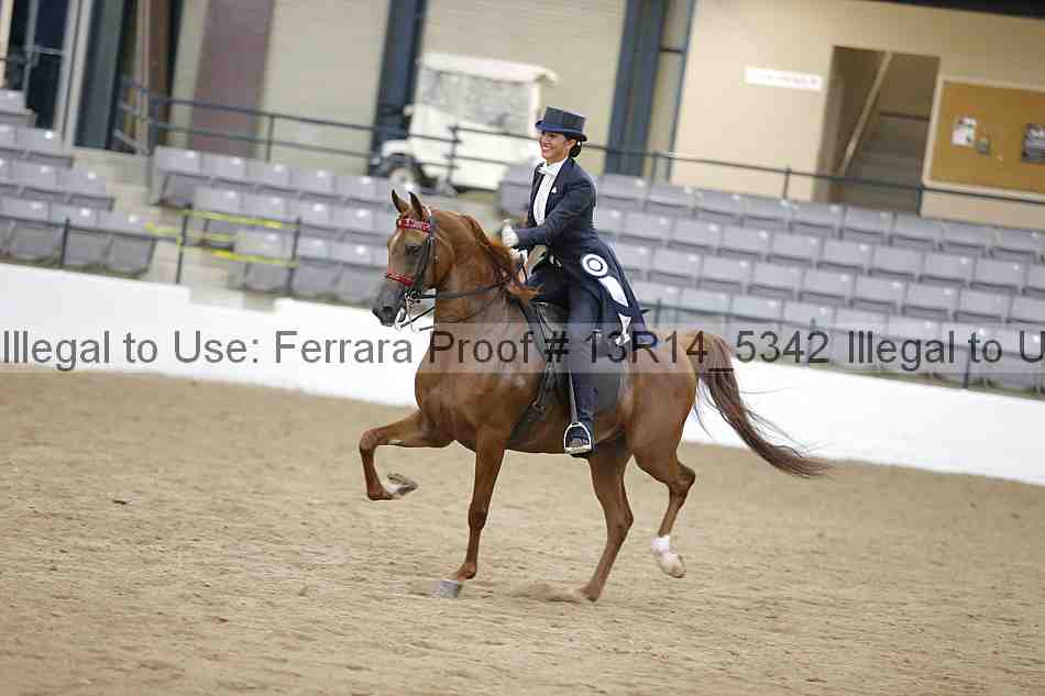 Proof Number 13r14_5342