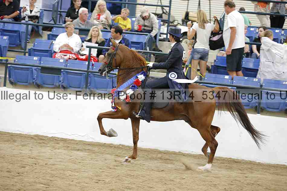 Proof Number 13r14_5347