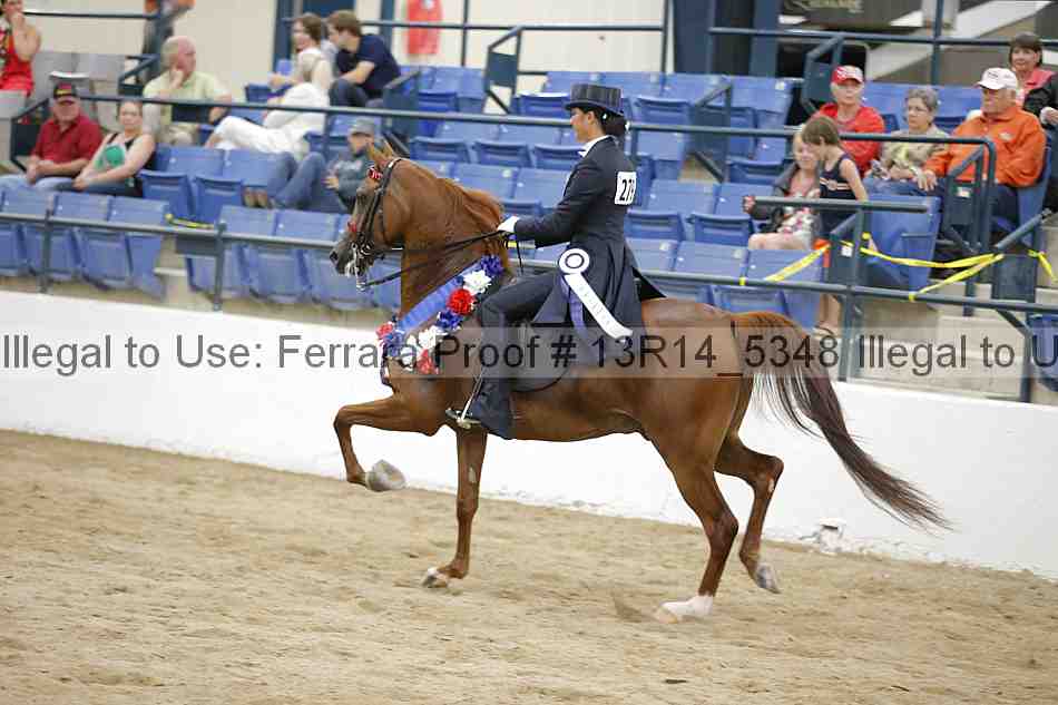 Proof Number 13r14_5348