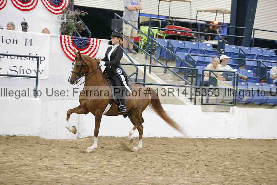 Proof Number 13r14_5353