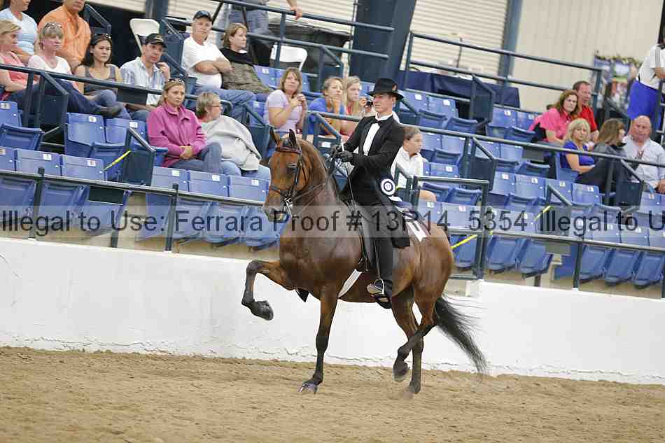 Proof Number 13r14_5354