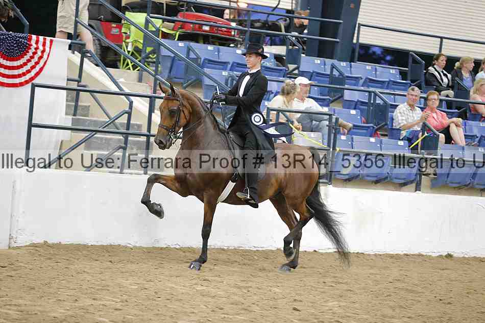 Proof Number 13r14_5356