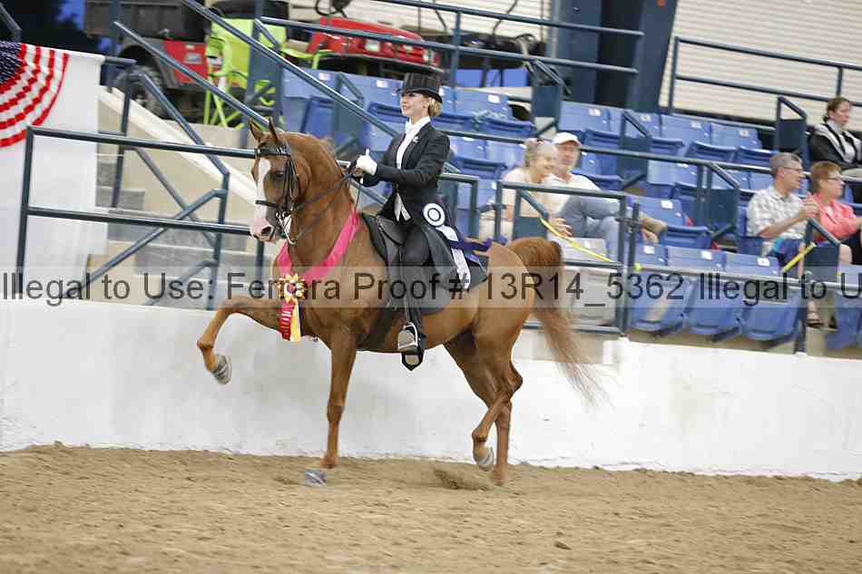 Proof Number 13r14_5362
