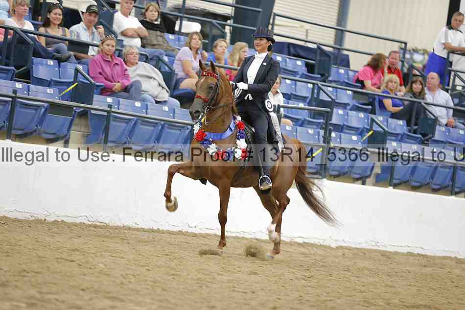 Proof Number 13r14_5366