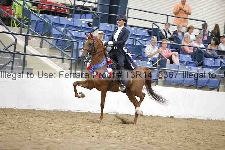 Proof Number 13r14_5367