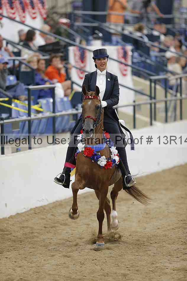 Proof Number 13r14_5369