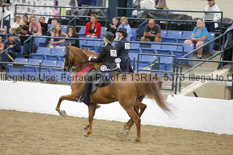 Proof Number 13r14_5373
