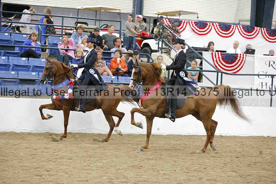 Proof Number 13r14_5375
