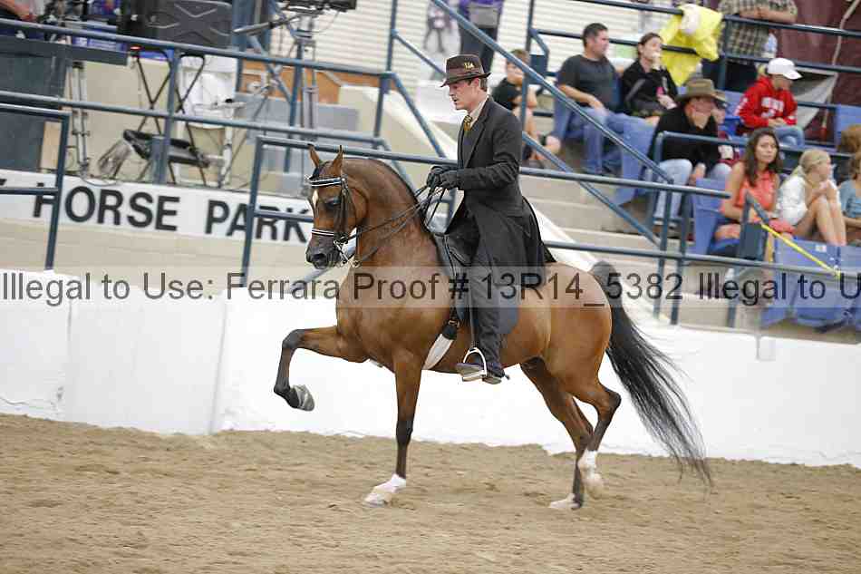 Proof Number 13r14_5382